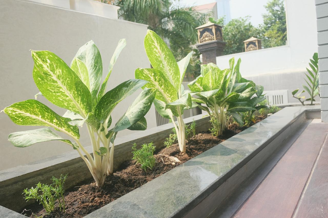 Greenwood Villa Saigon Ho-Chi-Minh-Stadt Exterior foto