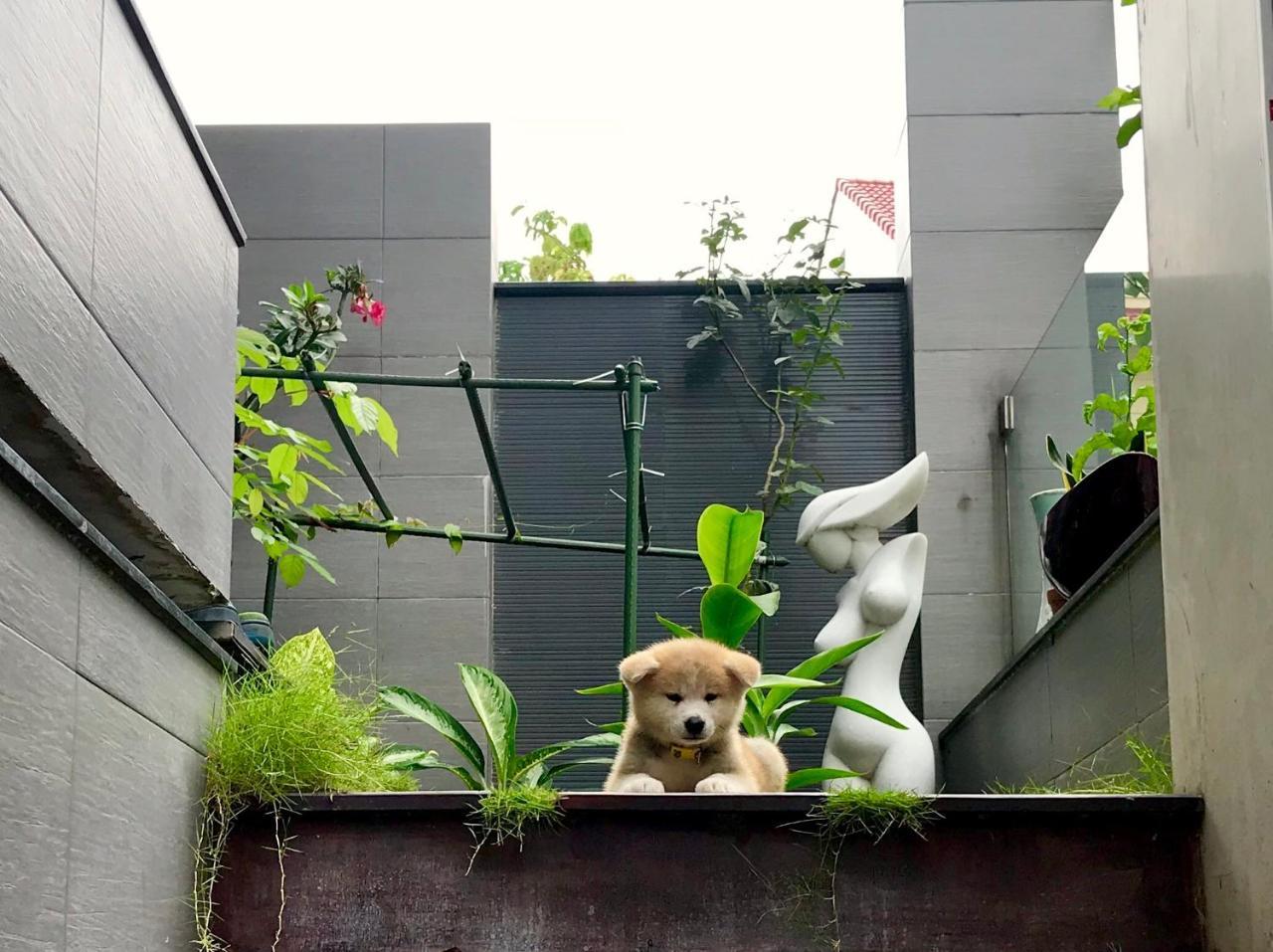 Greenwood Villa Saigon Ho-Chi-Minh-Stadt Exterior foto
